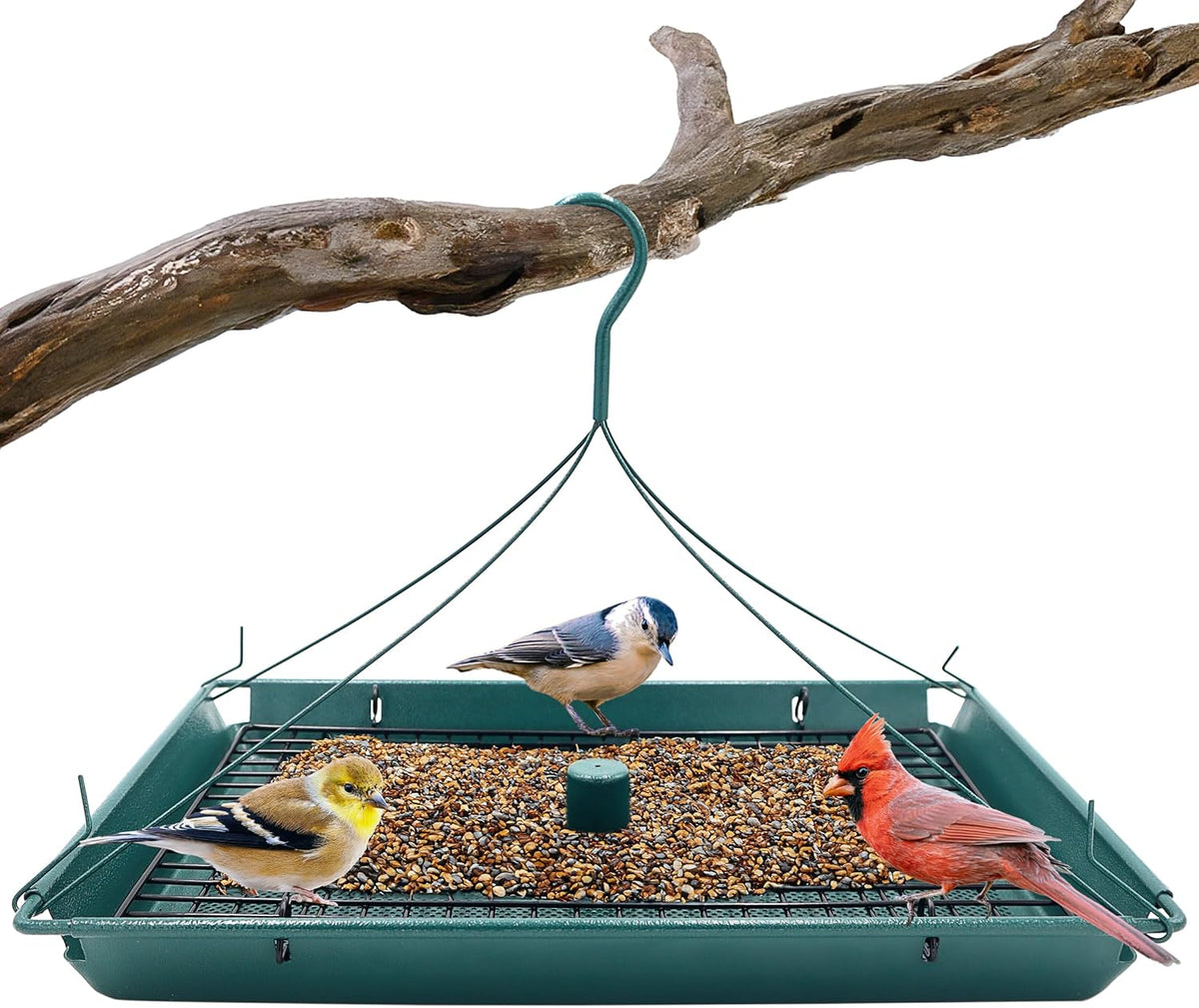 2-in-1 platform bird feeder - 6 pack, main product view