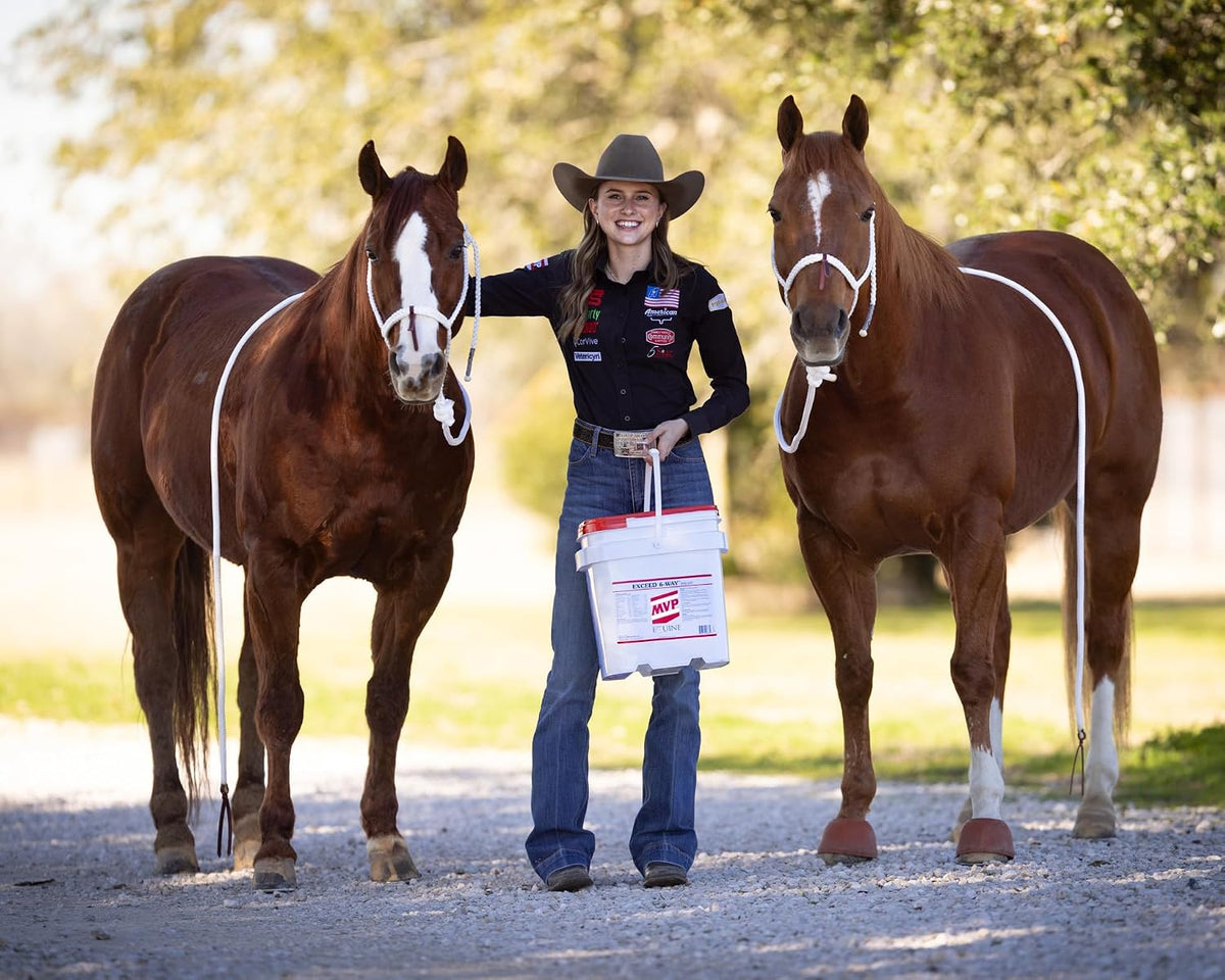 mvp exceed 6-way high level performance horse support, close-up detail