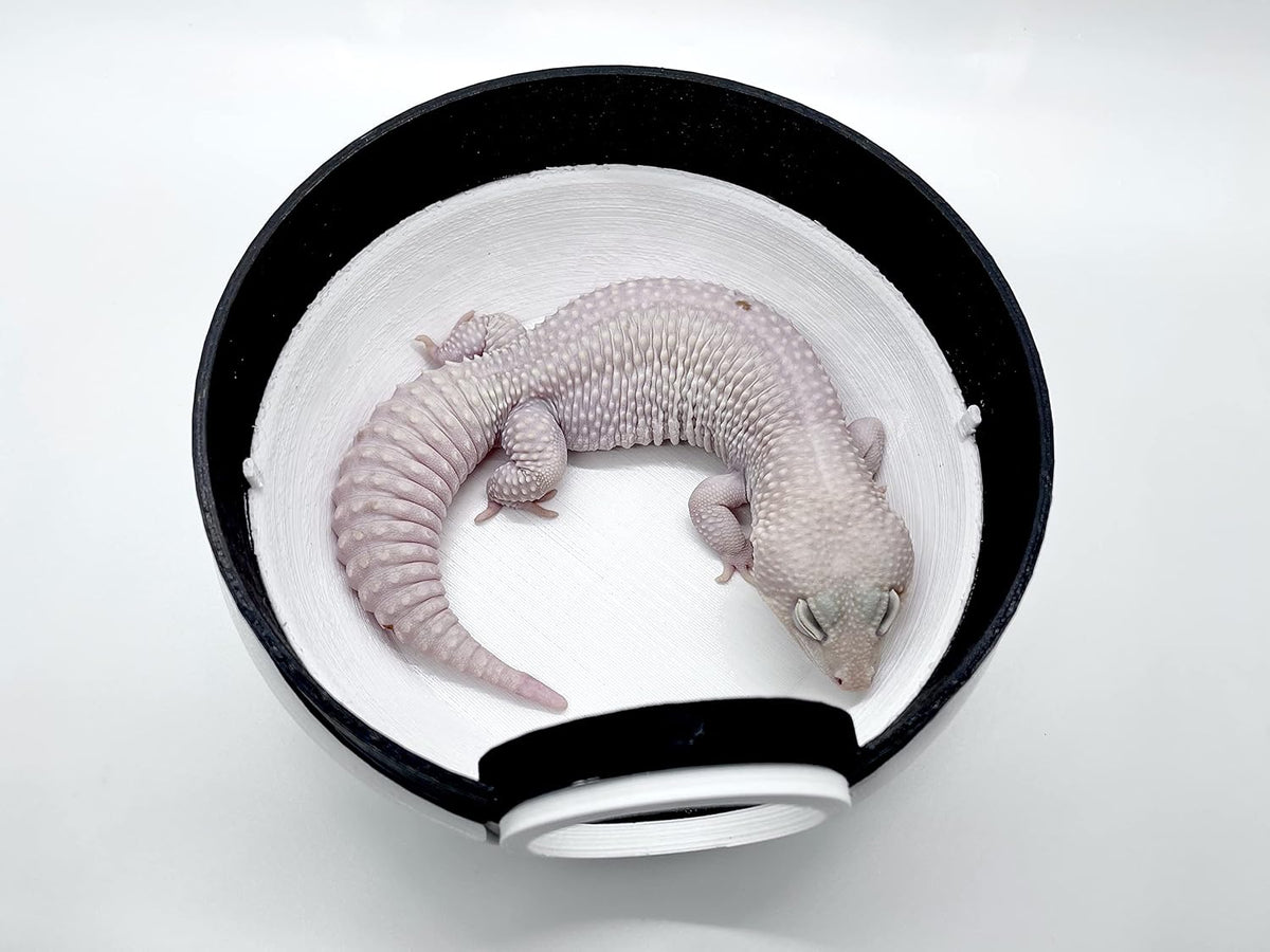 poke cave for geckos, snakes, reptiles, and other, side view