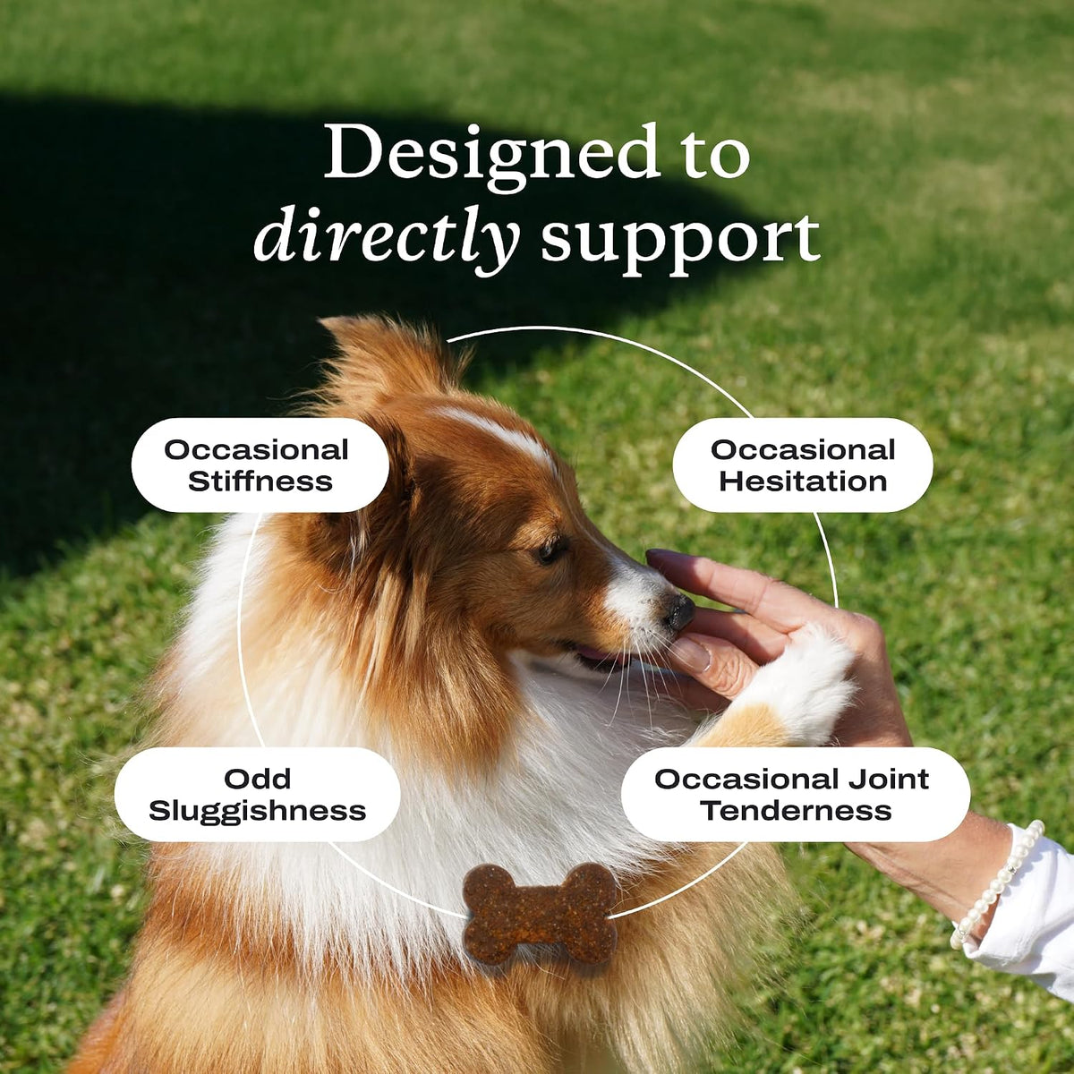 petlab co. – mobility & wellness bundle: soft showing dimensions