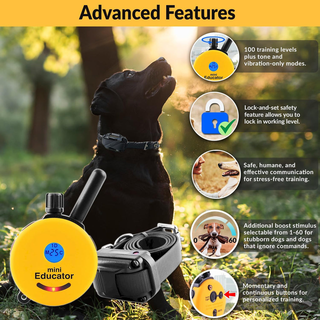 e-collar educator et-300-tv remote dog training collar, yellow shown in use