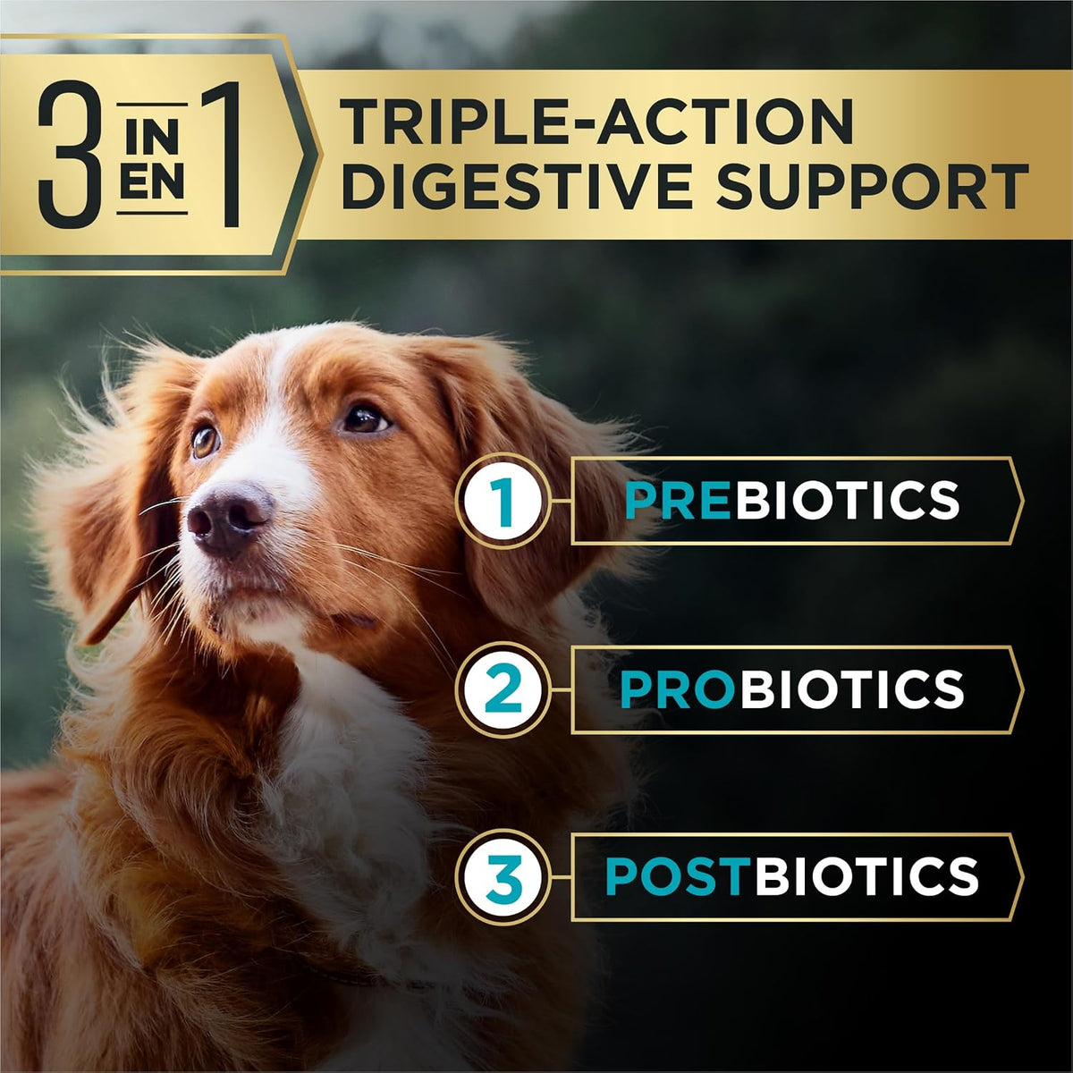 purina pro plan advantedge digestive support plus dry, side view