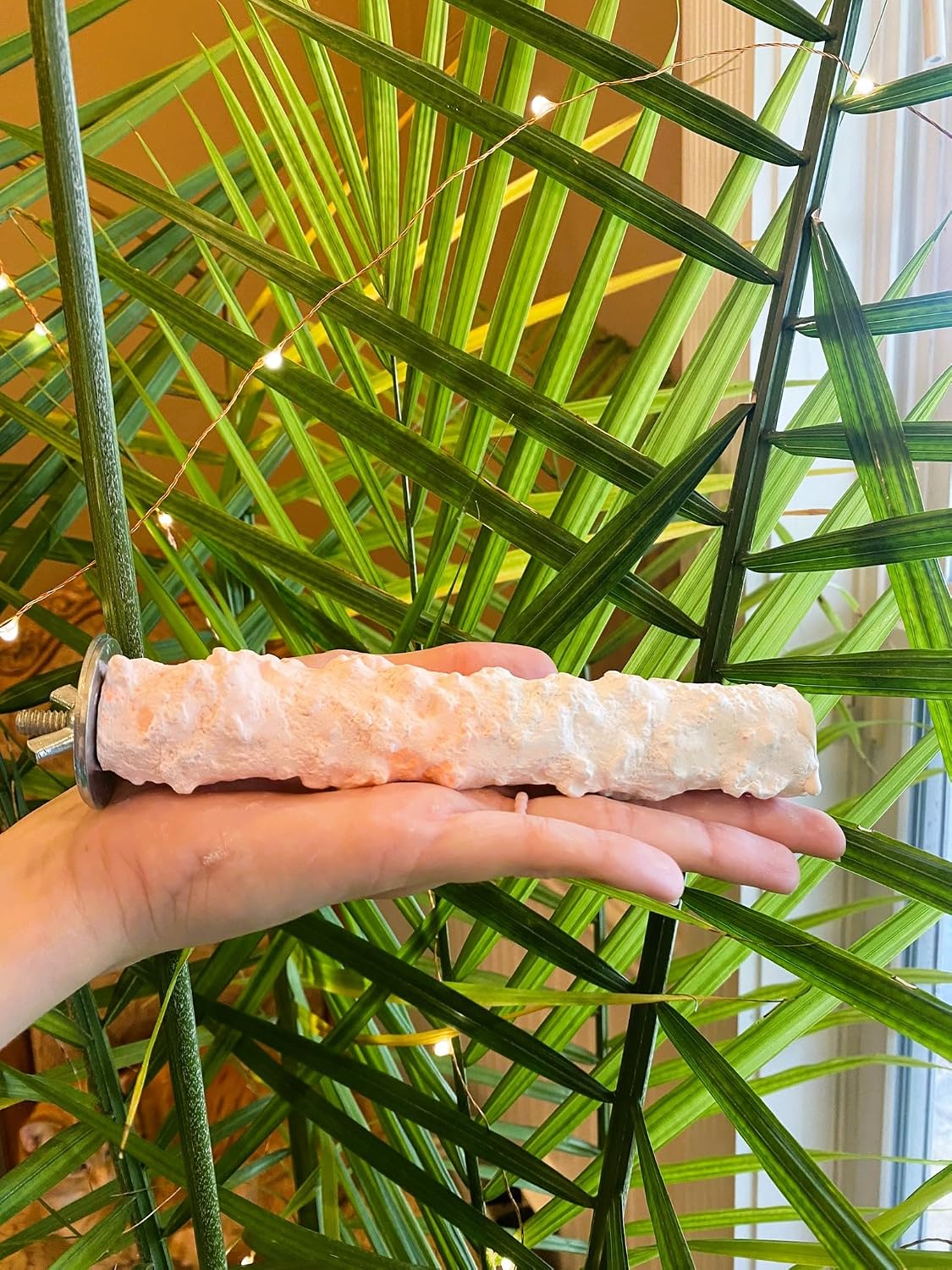 polly's edible cuttlebone calcium bird cage perch for, close-up detail