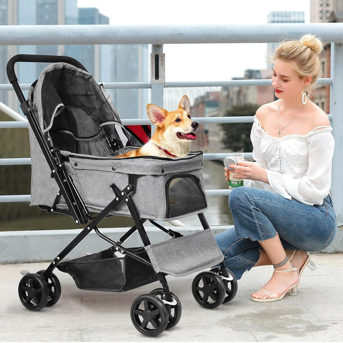 pet stroller with reversible handle for dogs, up, front angle view
