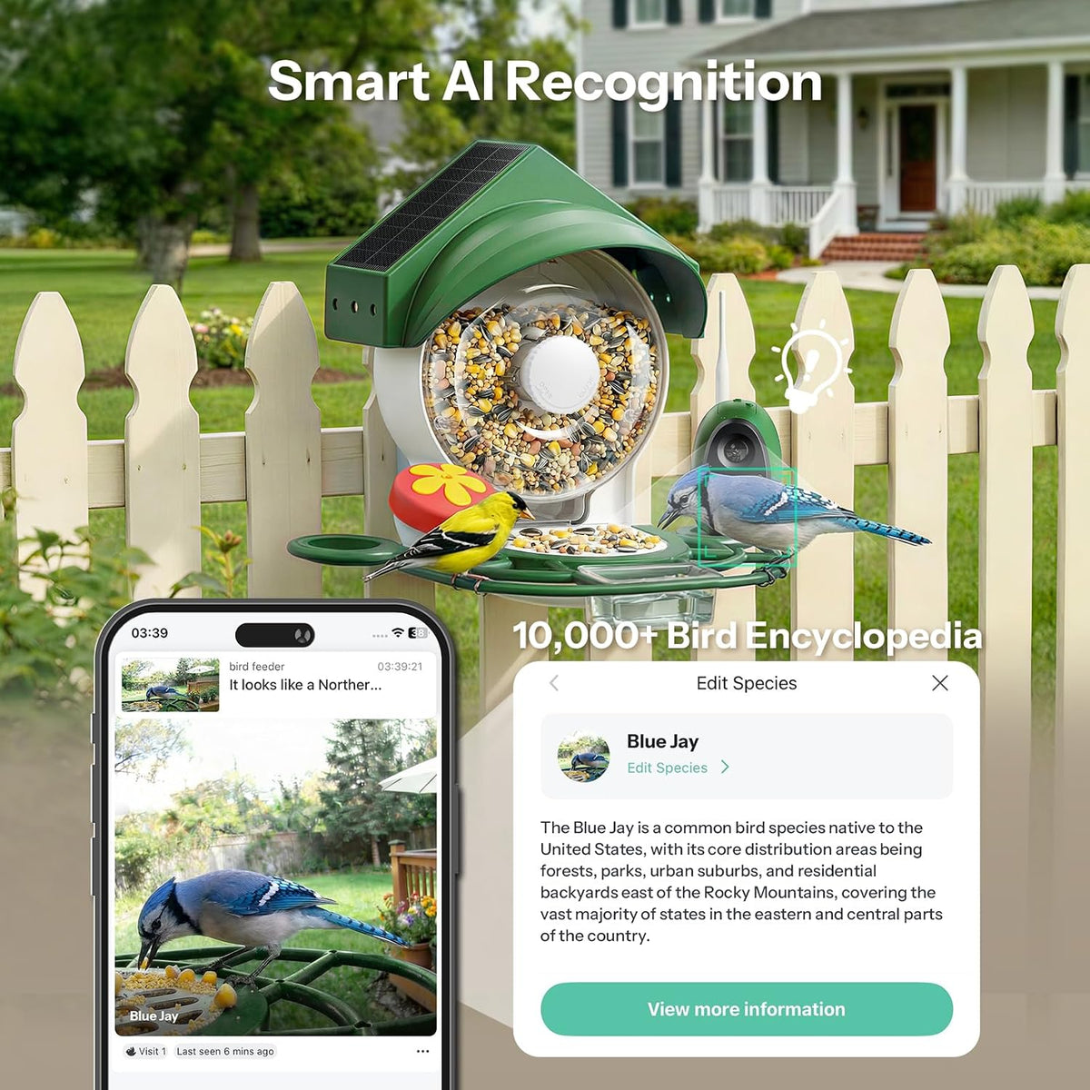 smart bird feeder with camera - 2k hd, close-up detail