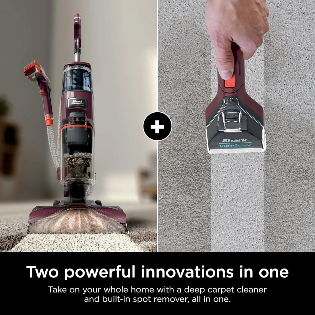 shark ex150 carpetxpert, upright carpet, area rug & shown in use