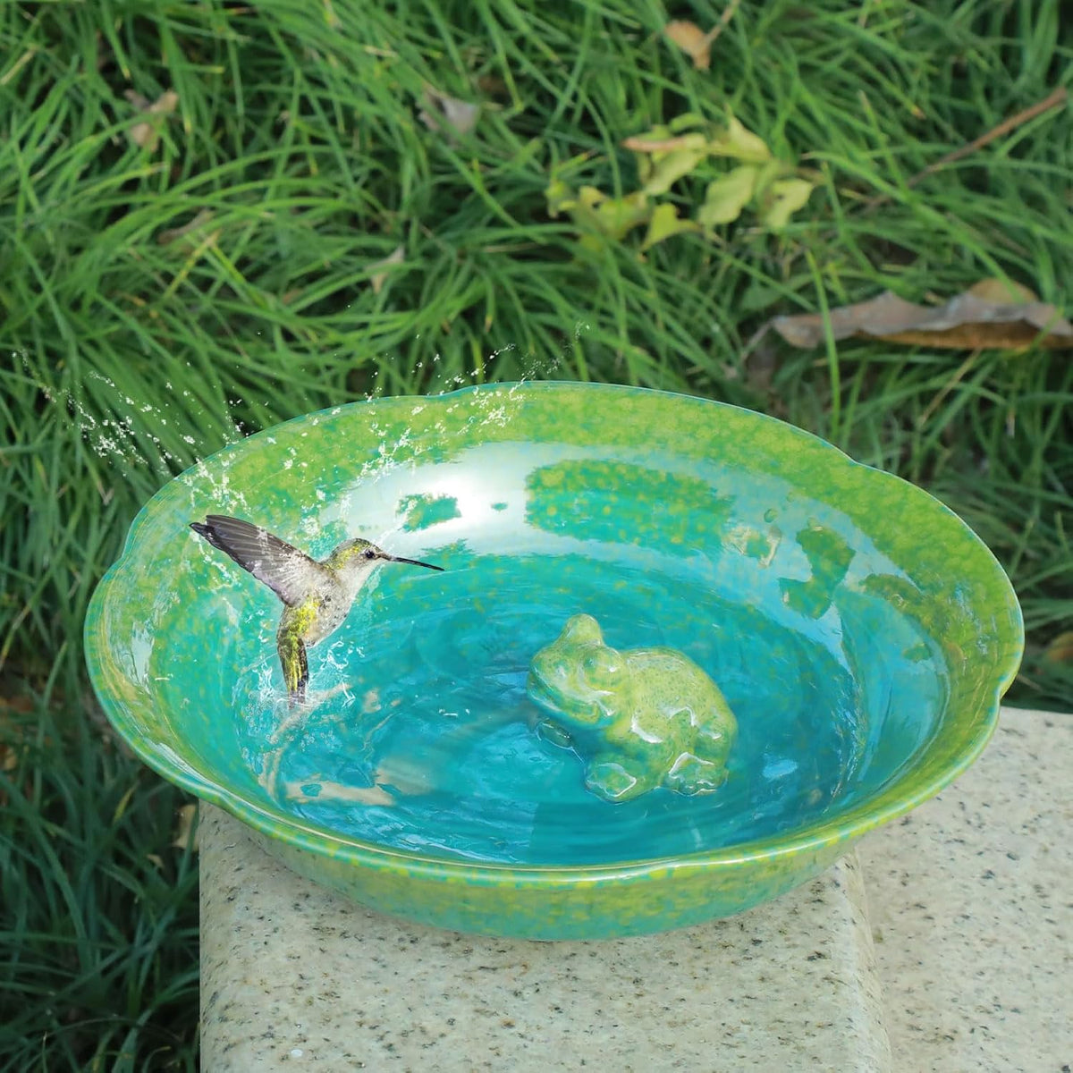 10" w ceramic bird bath bowl,bird bath for shown in use