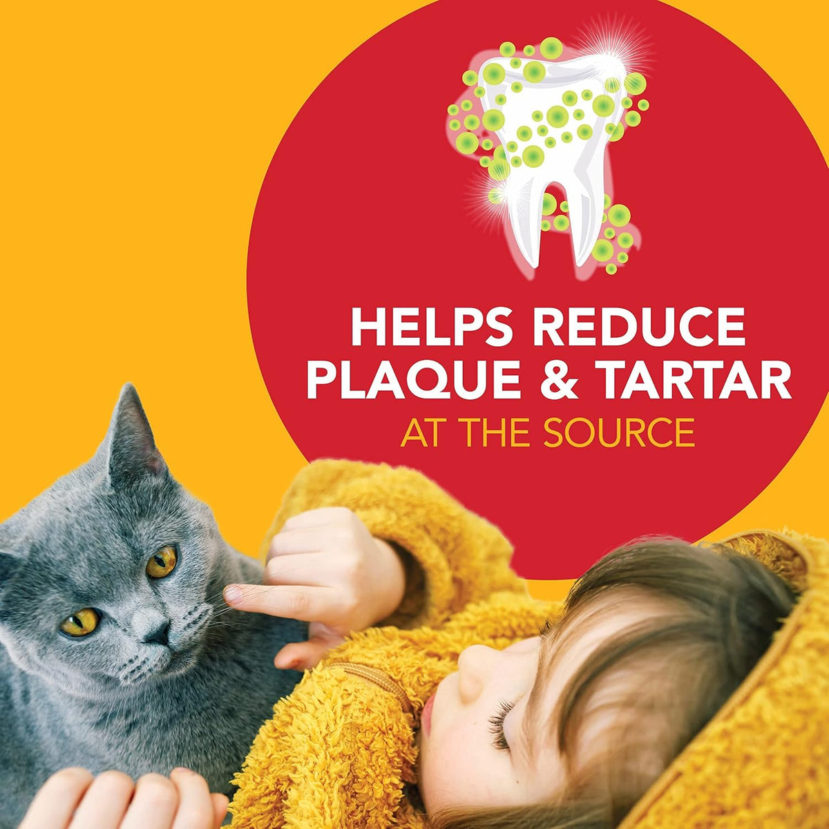 petrodex dental care kit for cats, cat toothbrush, close-up detail