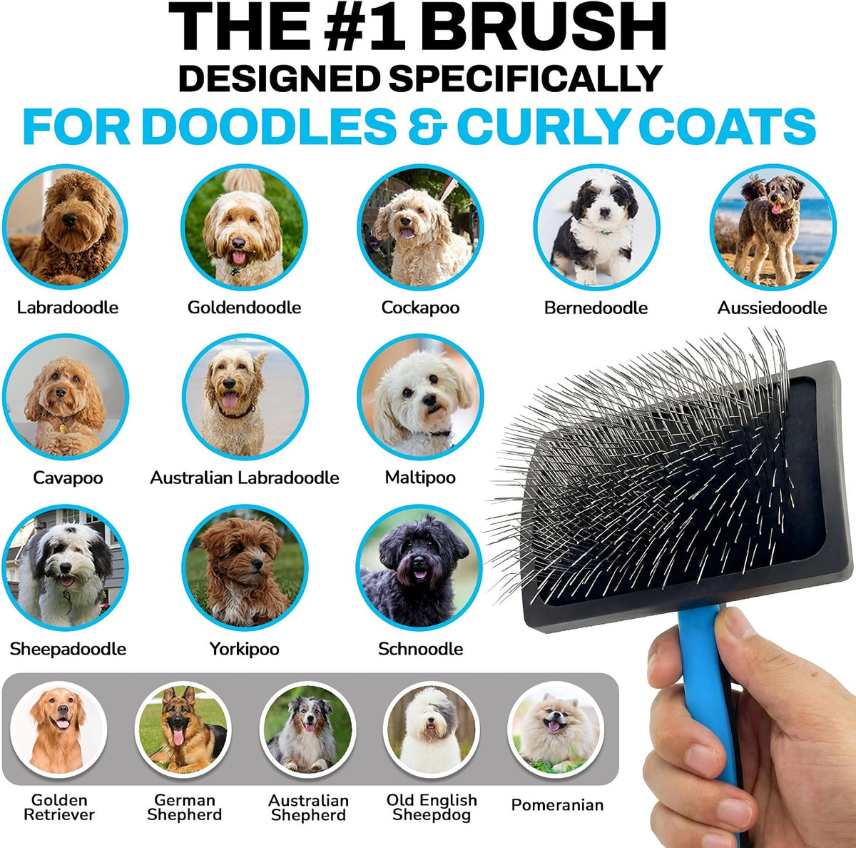 the doodle brush slicker brush dog poodle brush, close-up detail