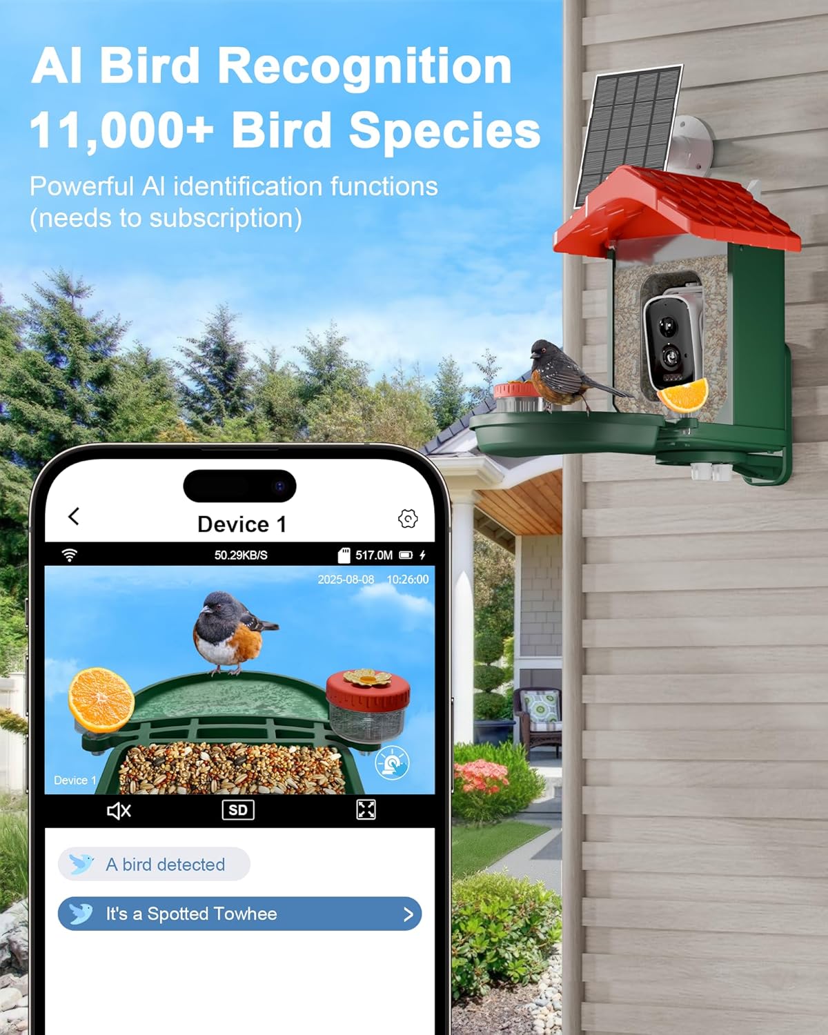 visiogear 2-in-1 smart wild bird feeder & bath shown in use