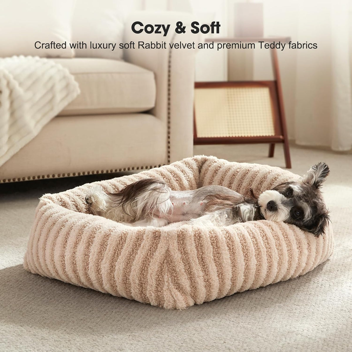 mixjoy dog bed medium size dog, washable medium, close-up detail