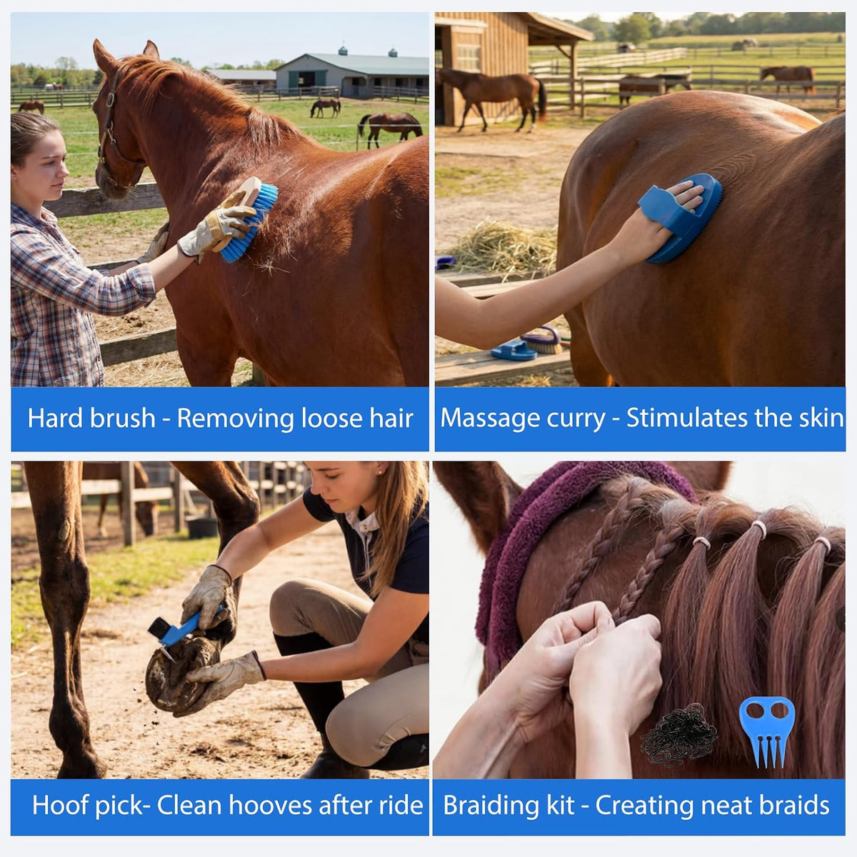 13 piece horse grooming kit, horse brushes for shown in use