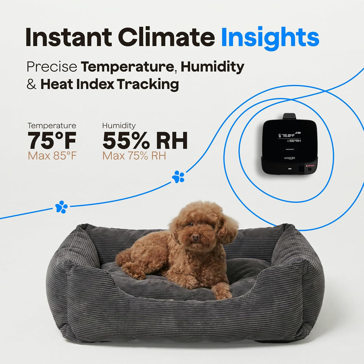 waggle rv pet temperature monitor - 4g cellular, close-up detail
