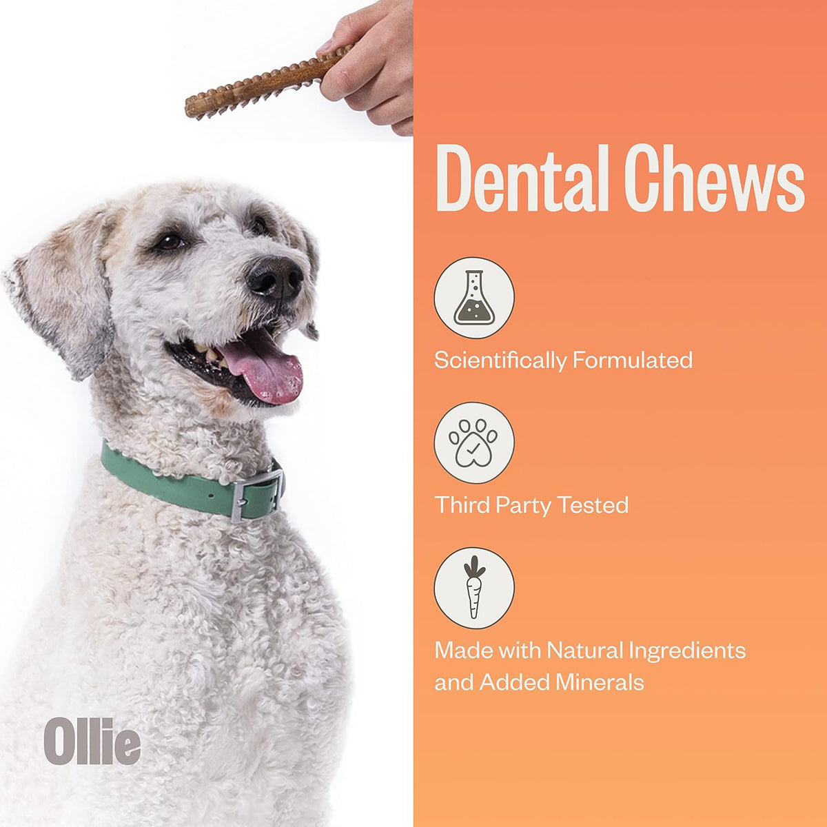 ollie dental chews for large dogs, 12 oz shown in use