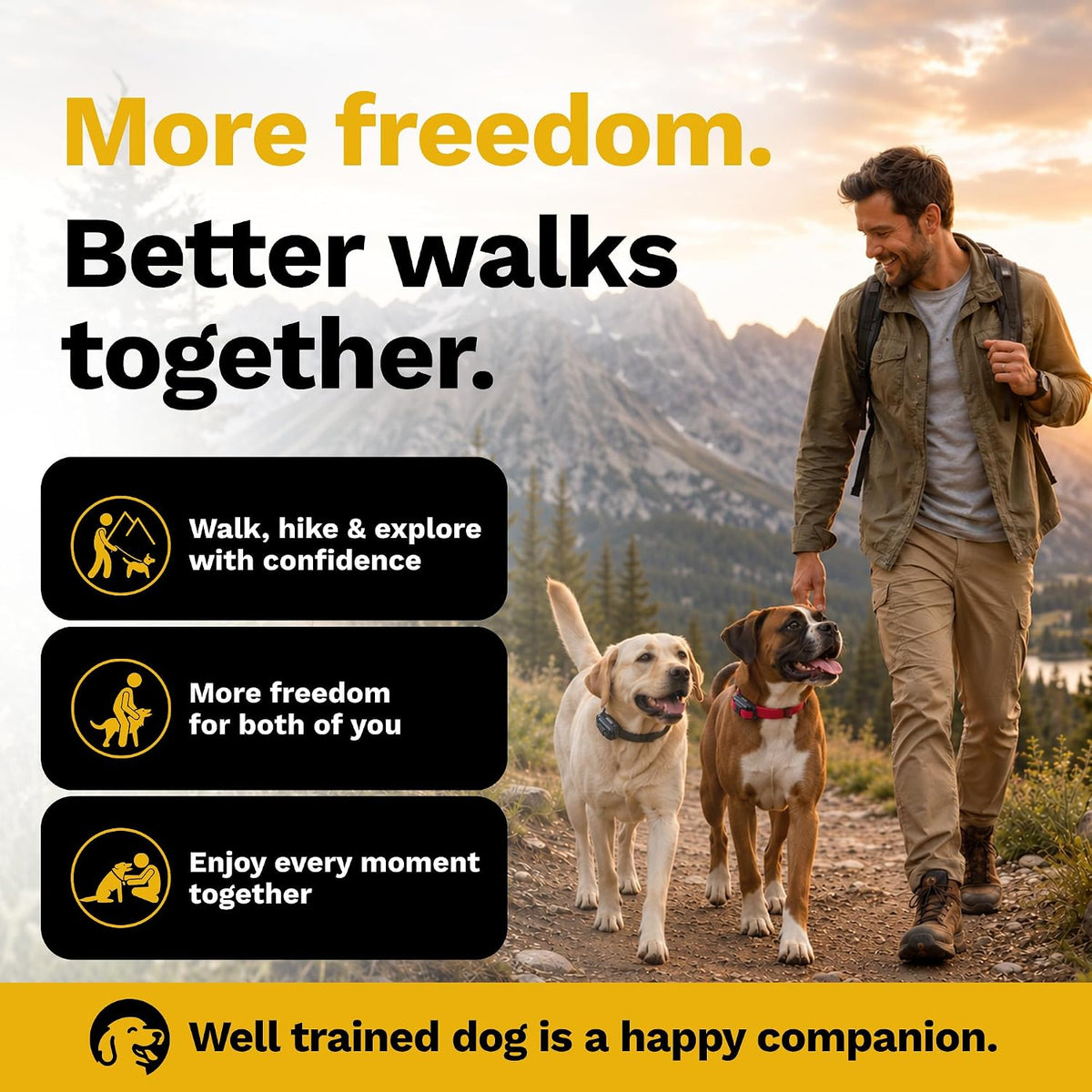 educator ez-902 e collar for dog training with showing dimensions
