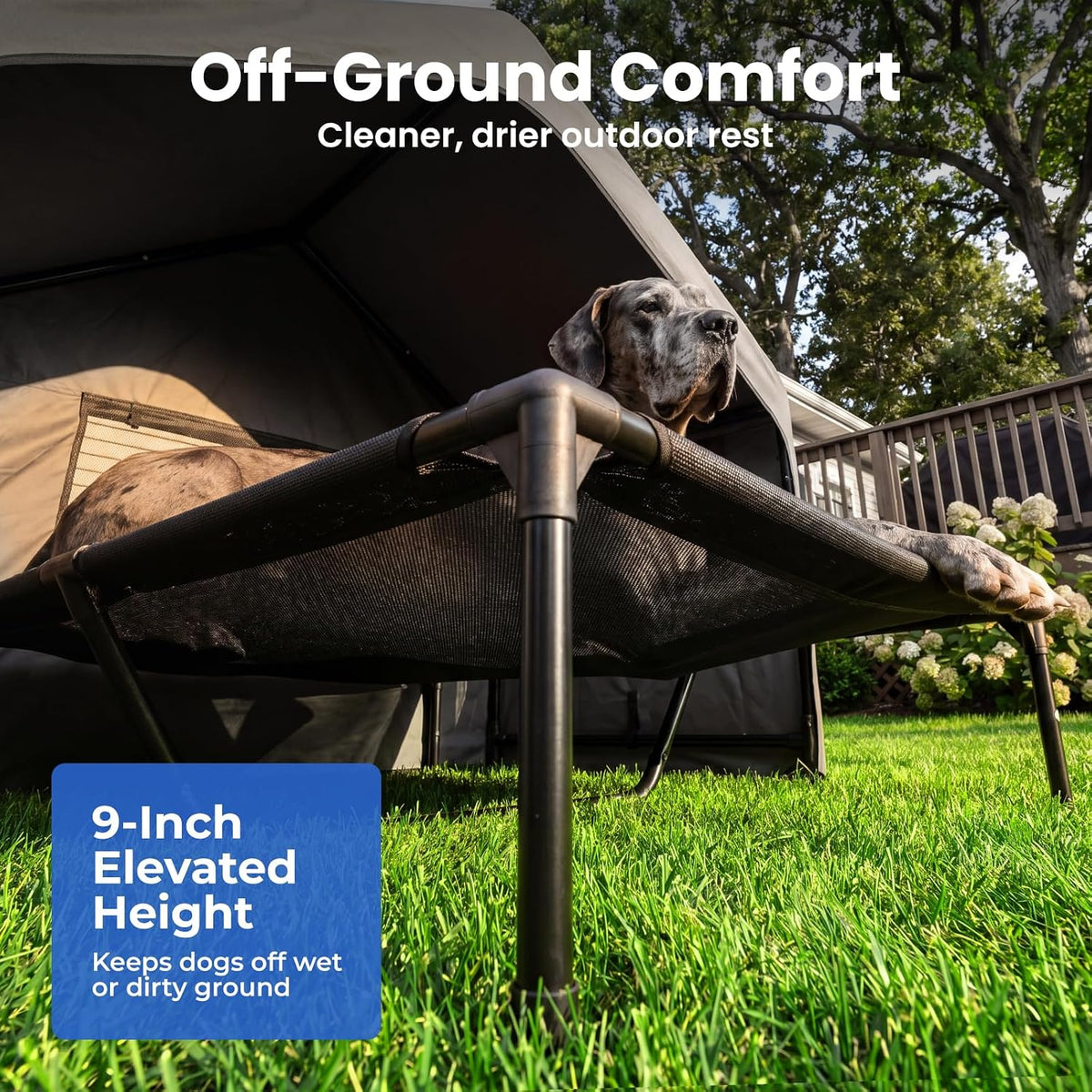 zooba extra large dog shade with elevated bed showing dimensions