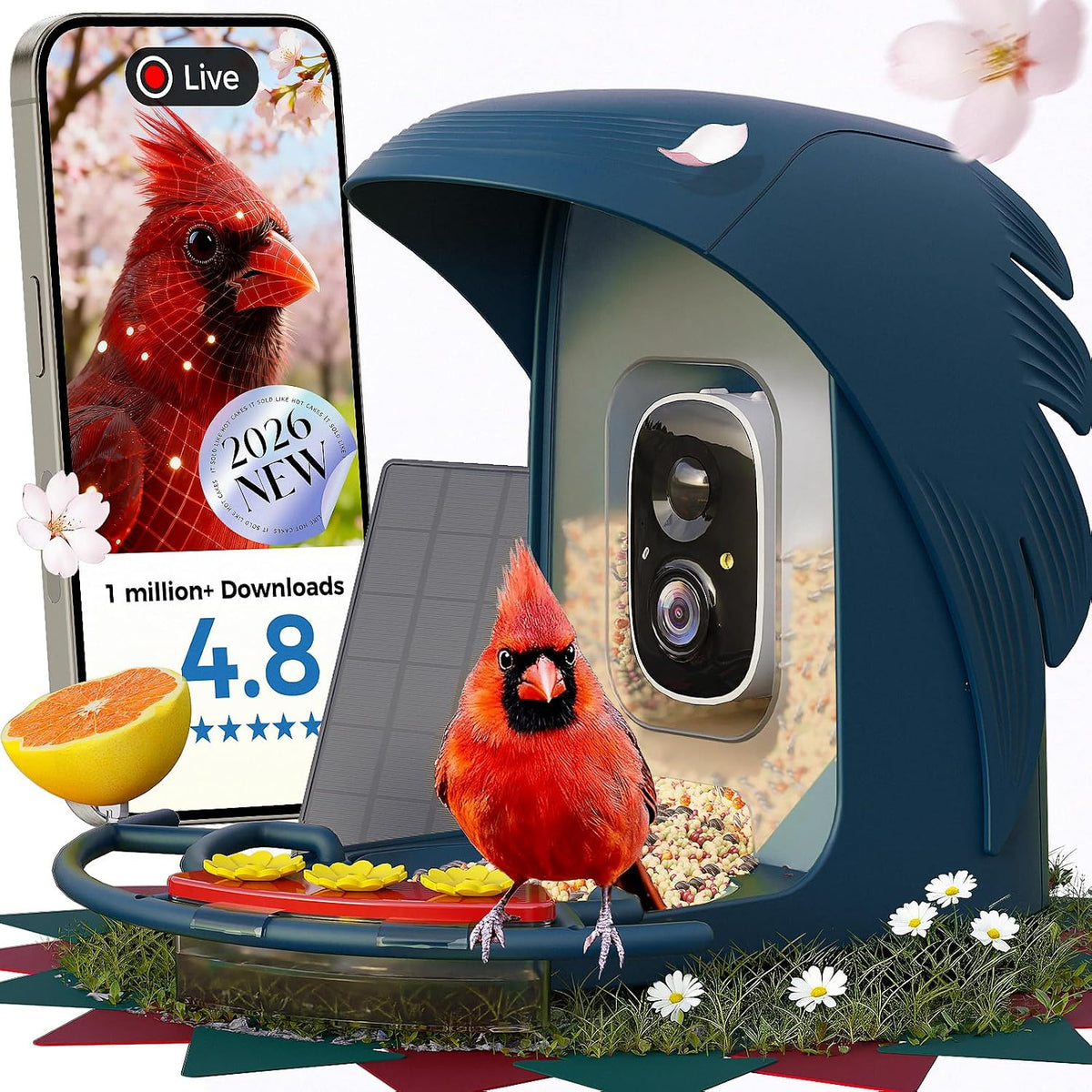 perchme® smart bird feeder with camera, solar powered, main product view