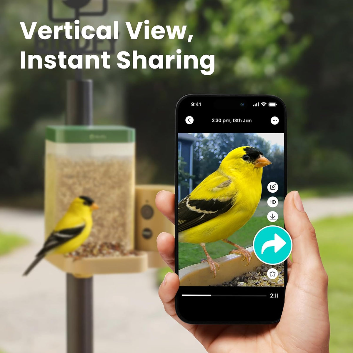 birdfy smart bird feeder with camera for beginners showing dimensions