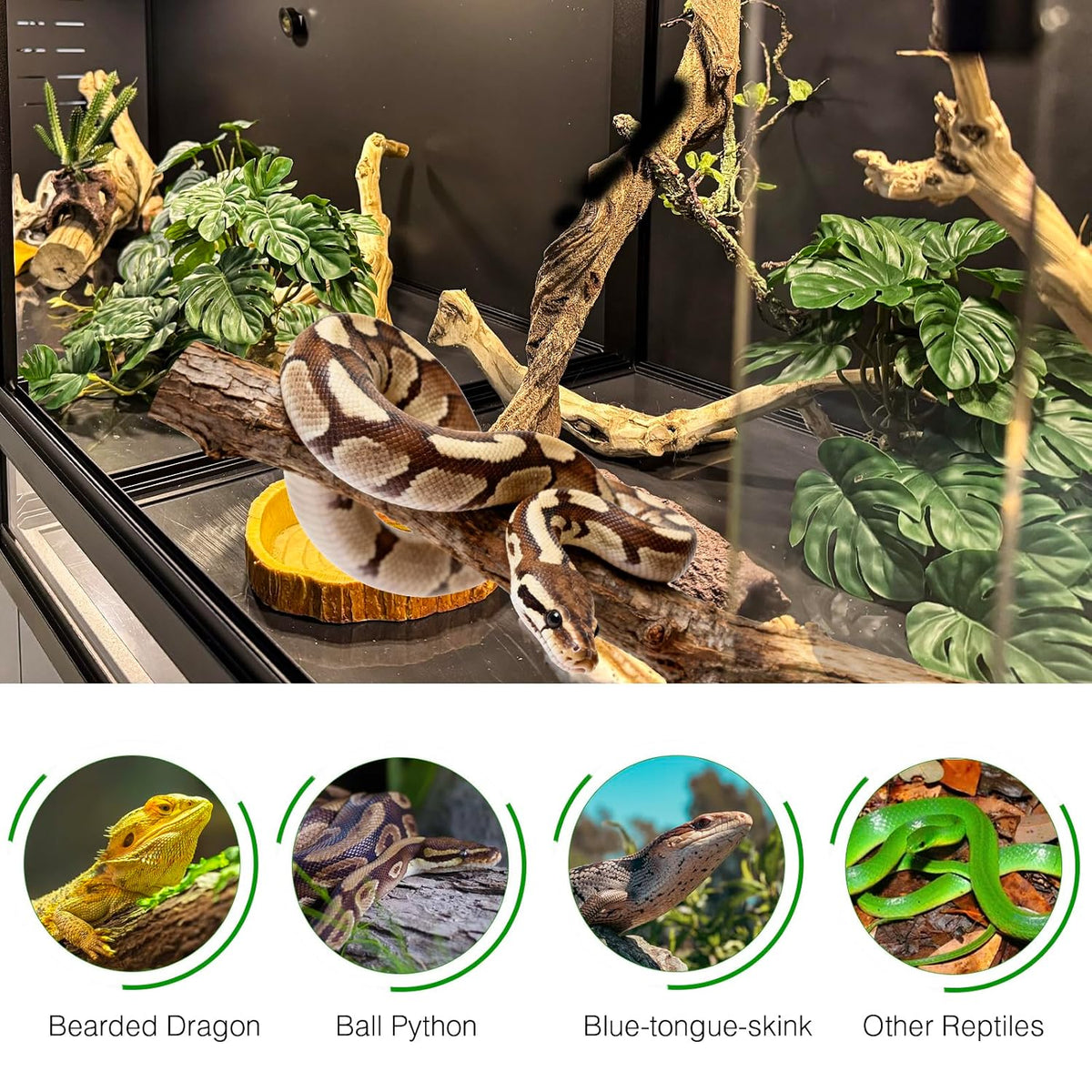 extra large pvc reptile enclosure 3 tier 48"x24"x24"with on a desk or shelf