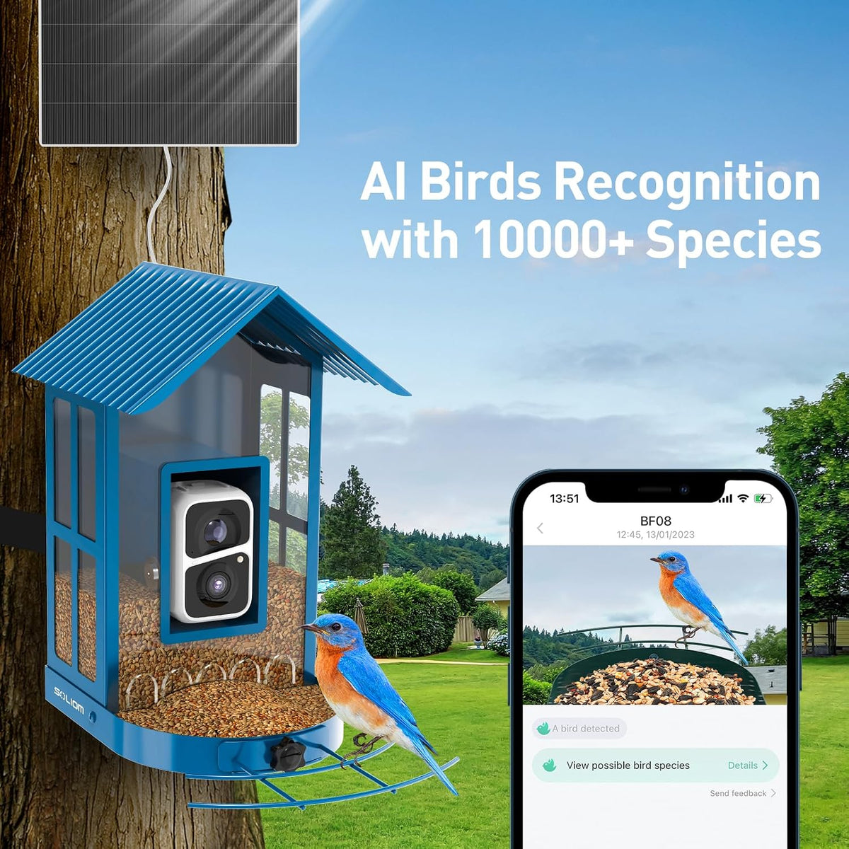 soliom bf08 smart bird feeder with camera,2.7l capacity shown in use