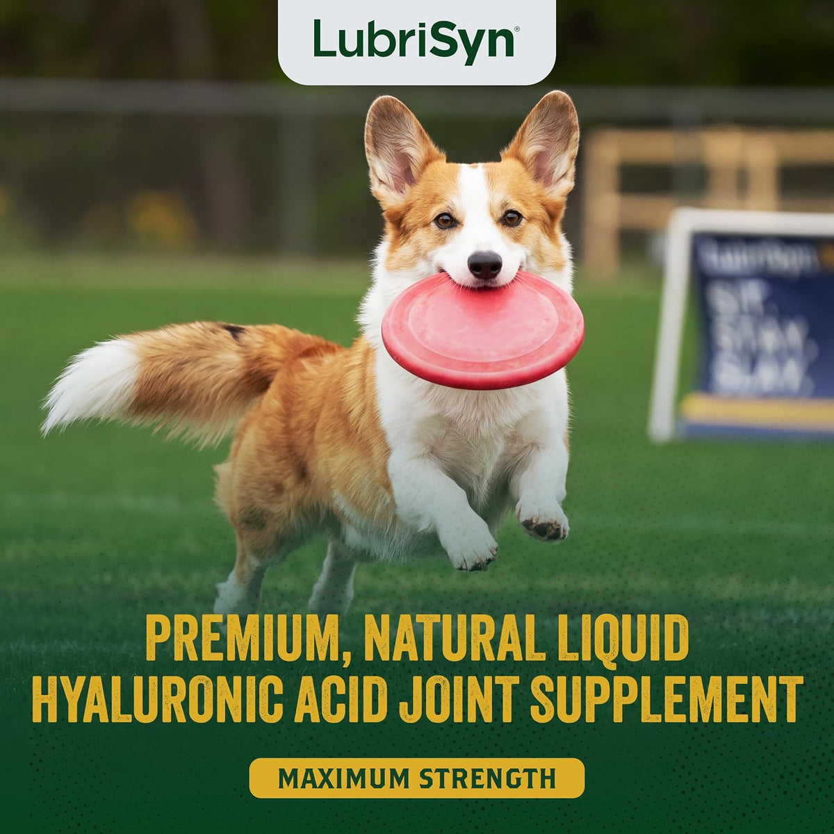 lubrisyn ha hip & joint supplement plus msm, close-up detail