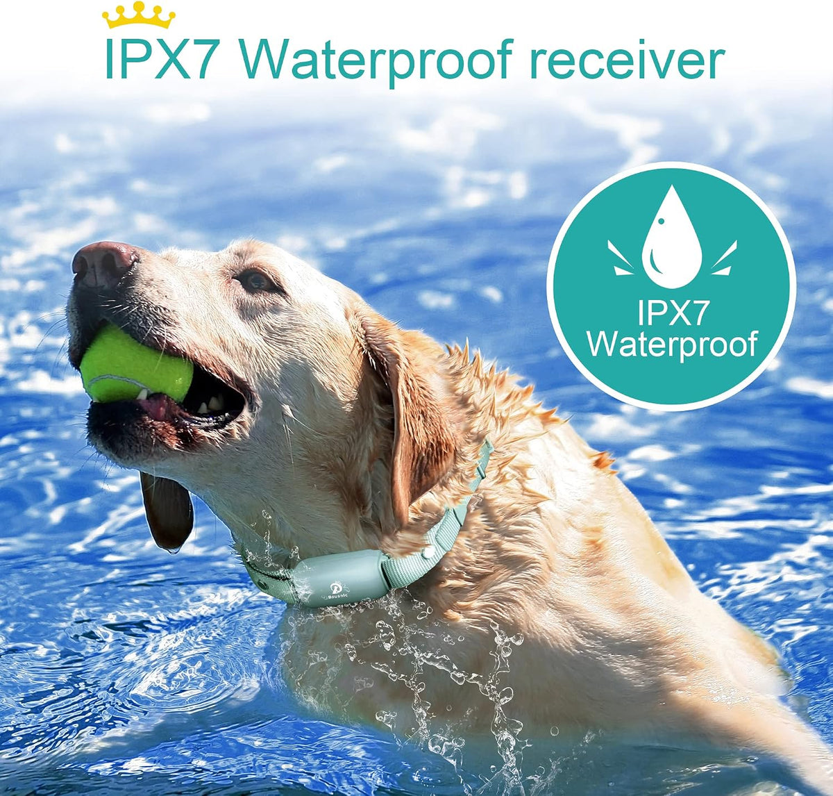 bousnic shock collar for dogs - waterproof rechargeable, close-up detail