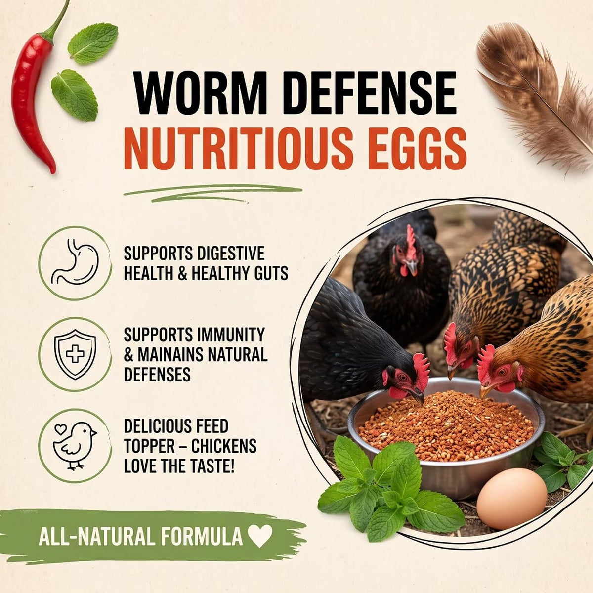 1.5 lb natural chicken flock armor powder for shown in use