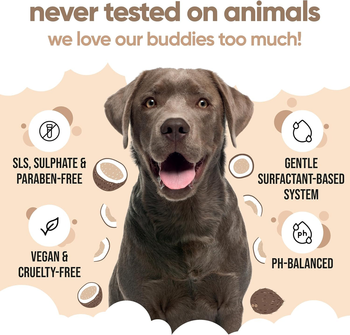 2in1 dog shampoo & conditioner by buddycare | showing dimensions
