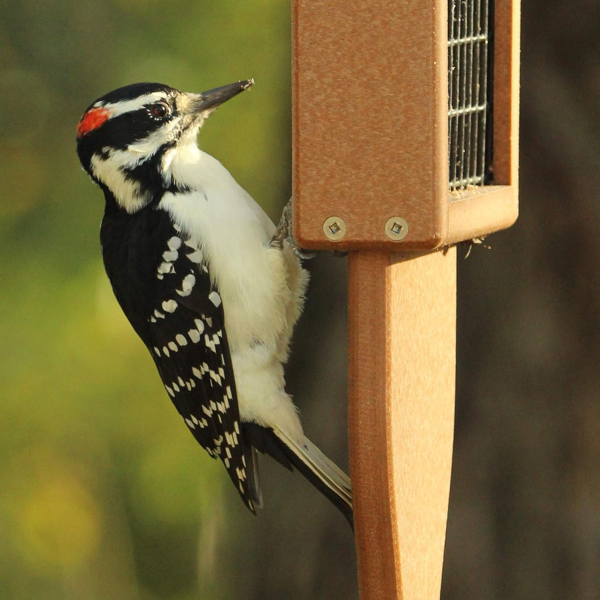 kettle moraine recycled plastic single suet cake tail, side view