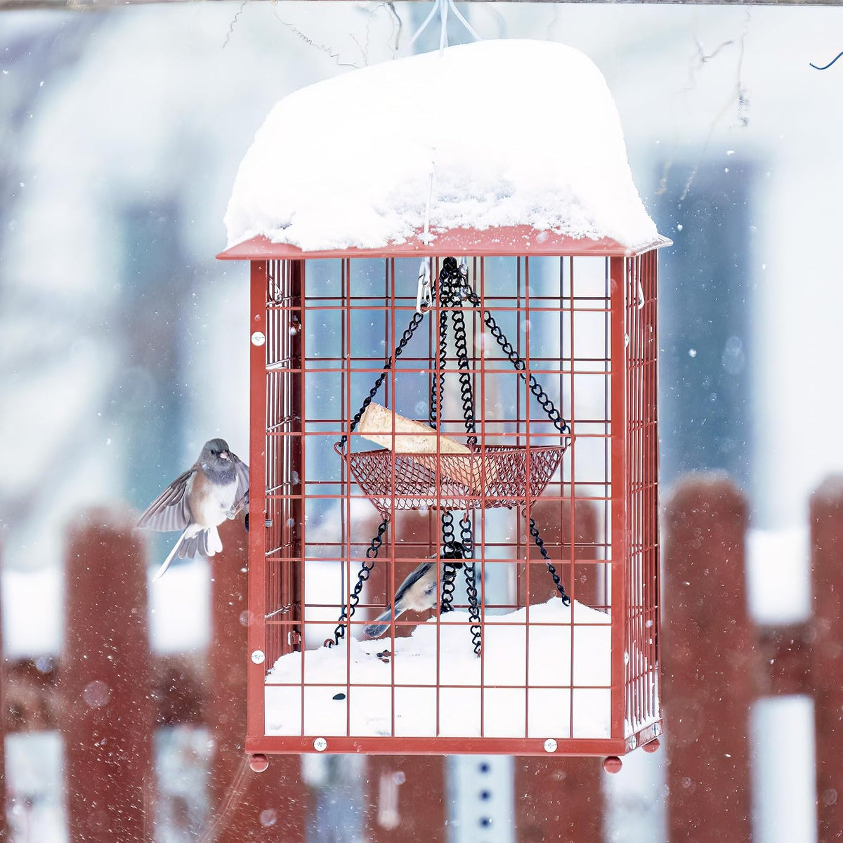 mealworm bird feeders, squirrel-proof bluebirdshanging bird feeder with shown in use