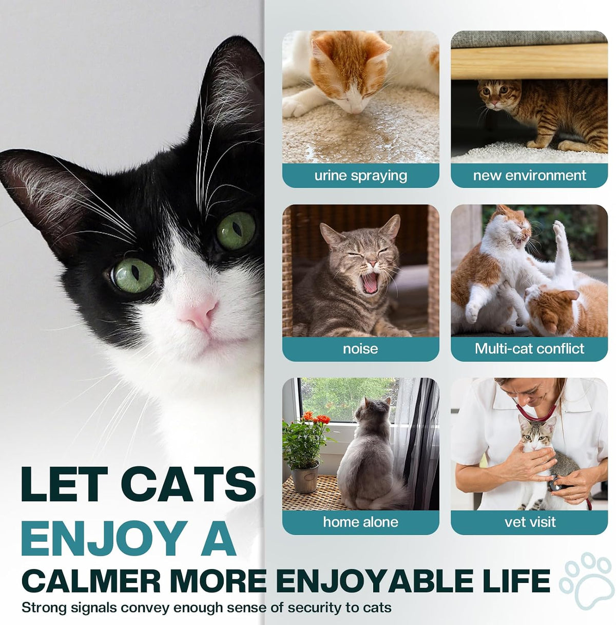 cat calming diffuser 6 in 1 multicat calming, close-up detail