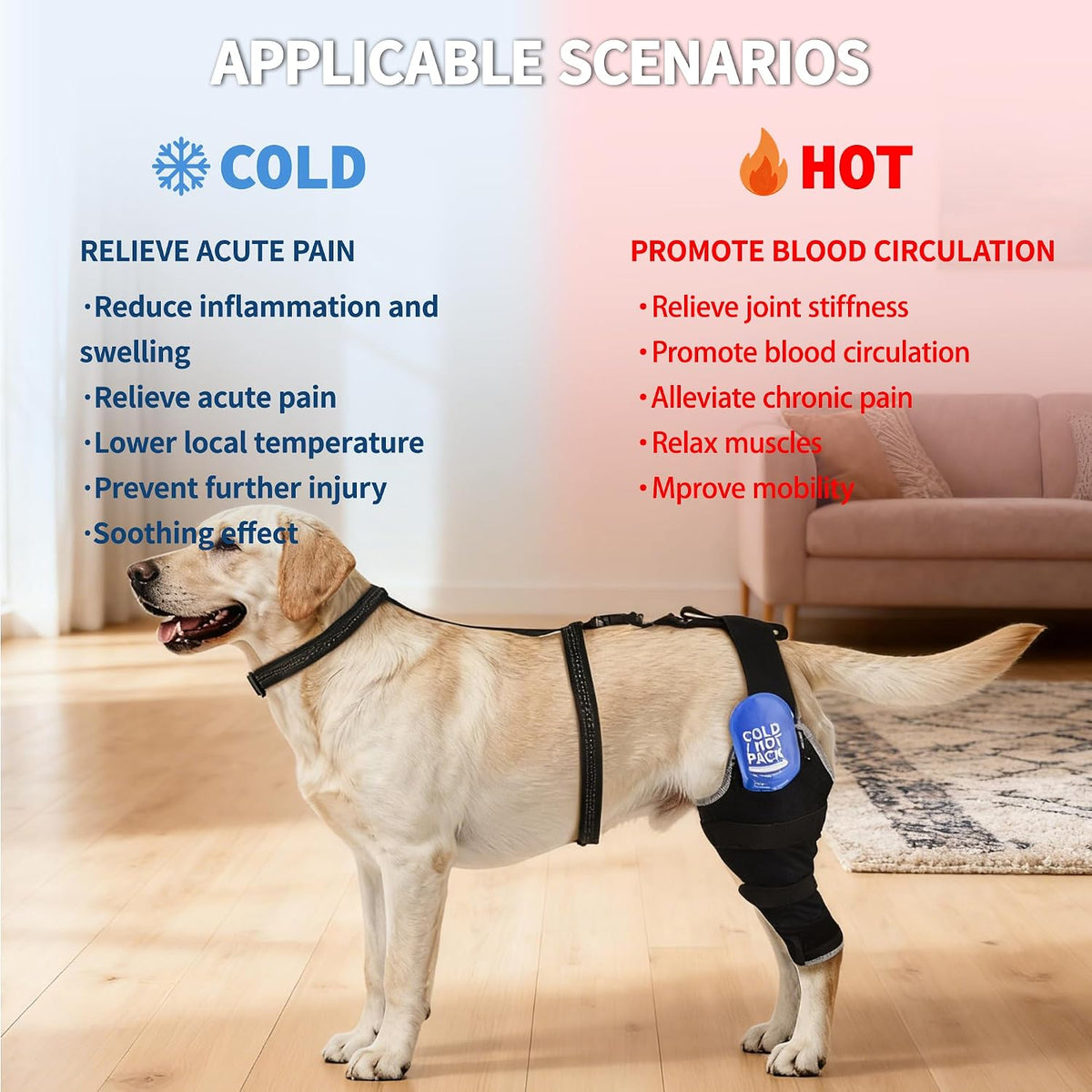 dog knee braces for back leg, dual-use for, close-up detail
