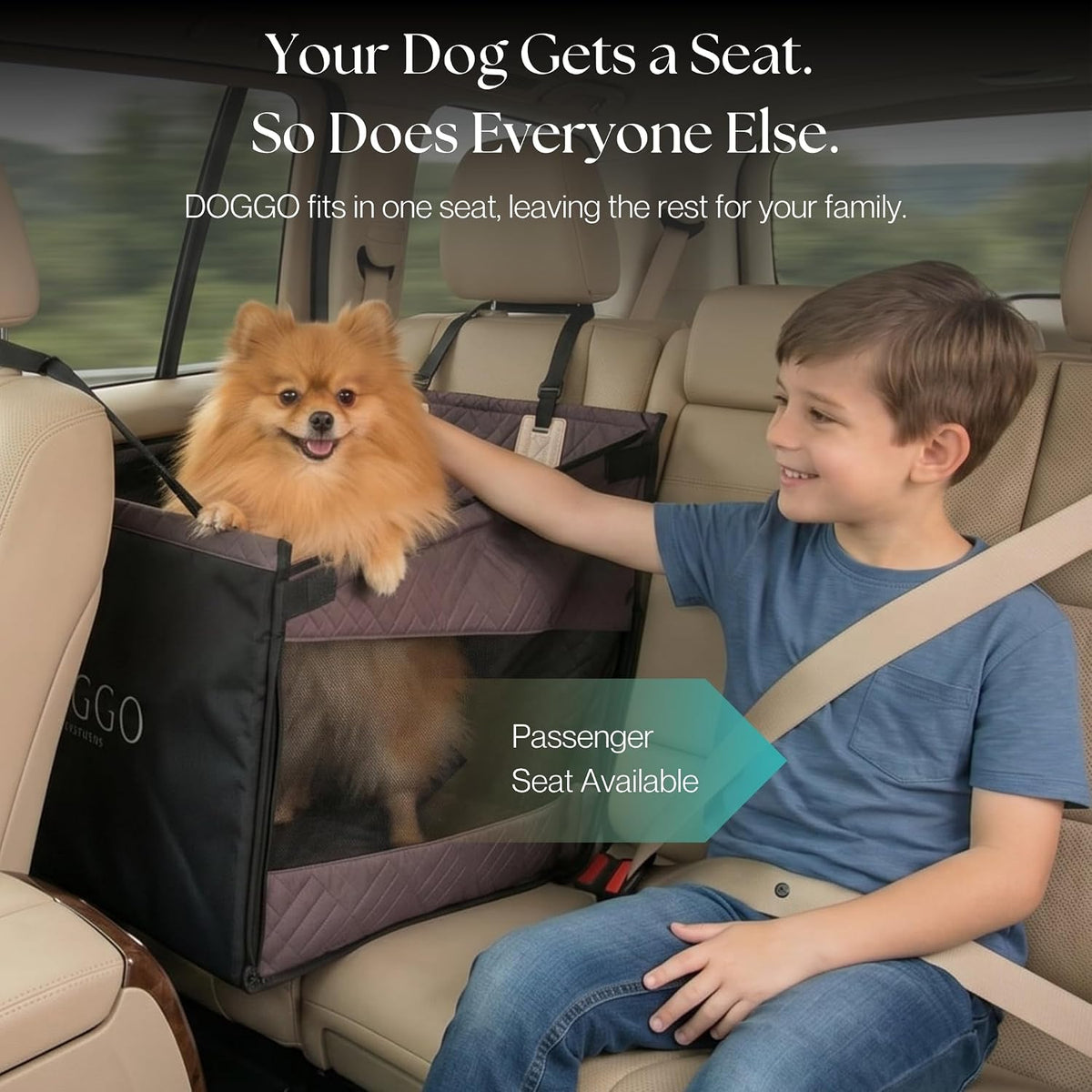 2026 upgraded hard bottom dog car seat for showing dimensions
