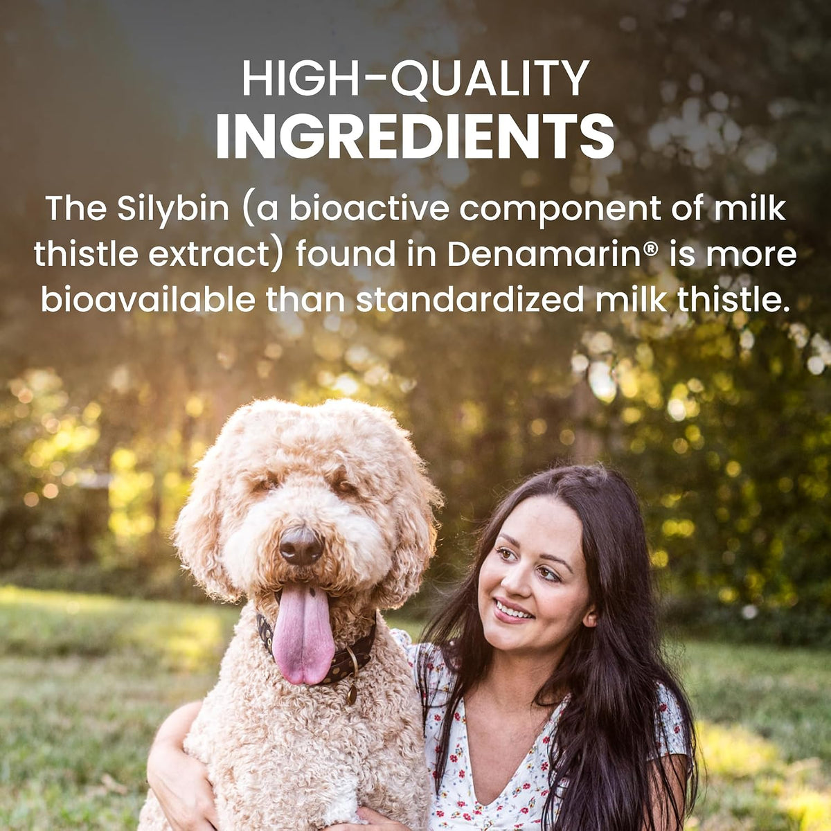 nutramax denamarin for large dogs, liver health supplement, side view