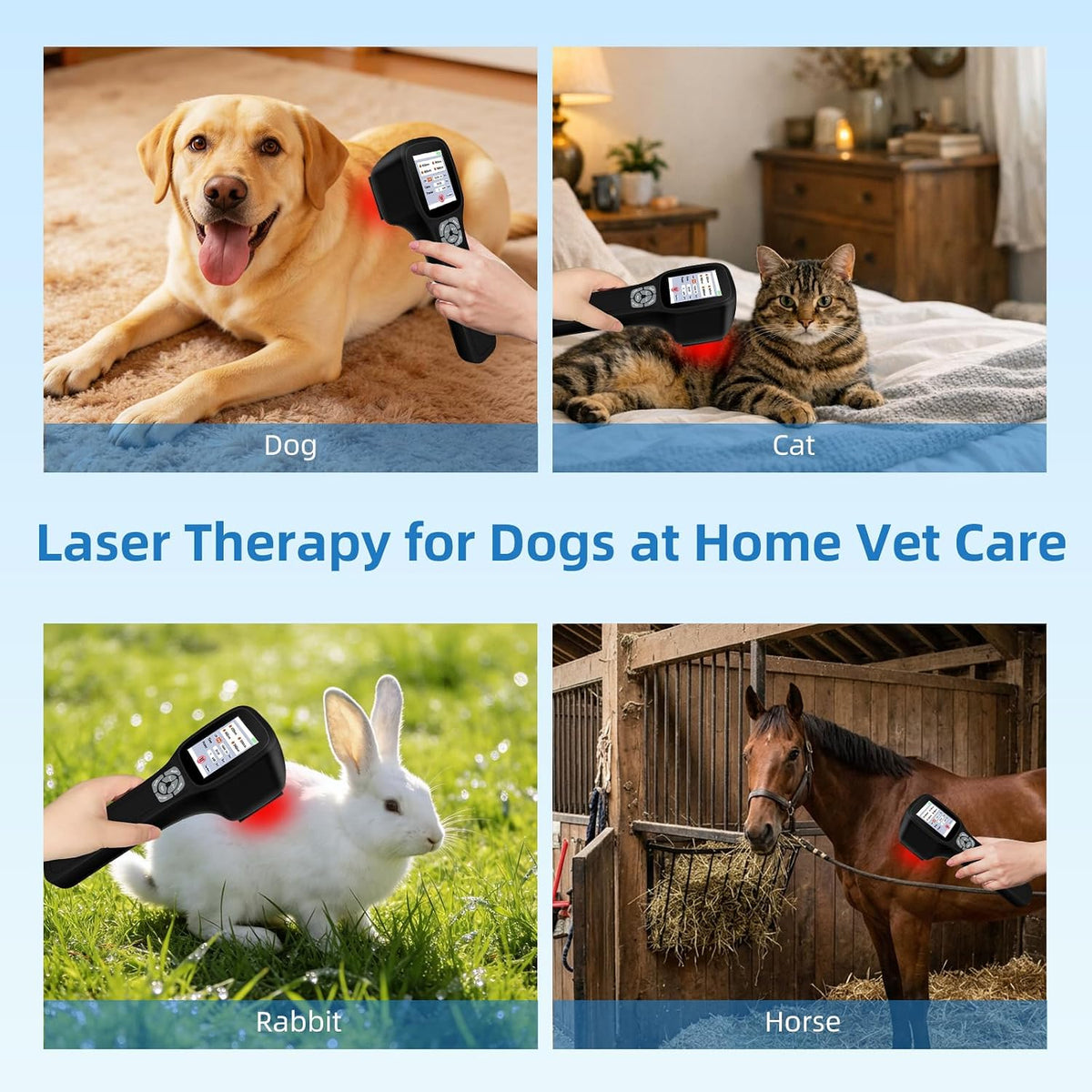 cold laser therapy device for dogs, with 4 showing dimensions