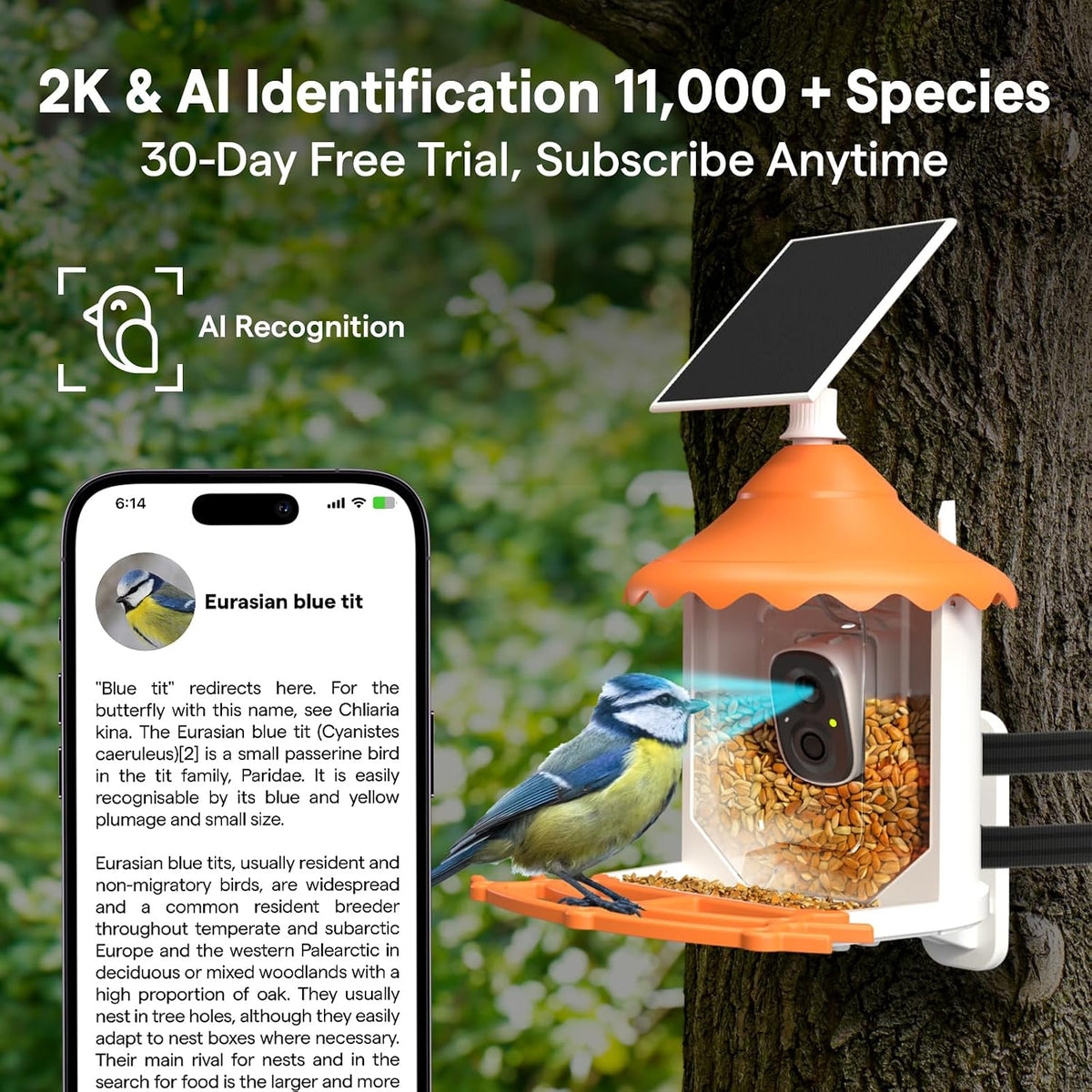 birdsview bird feeder with 2k ai camera, solar, close-up detail