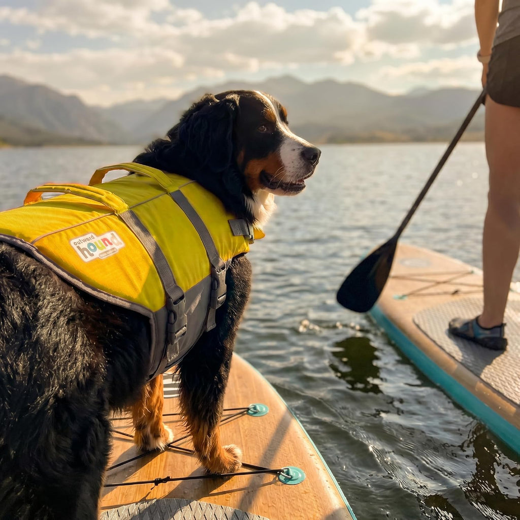 outward hound granby splash dog life jacket, life on a desk or shelf