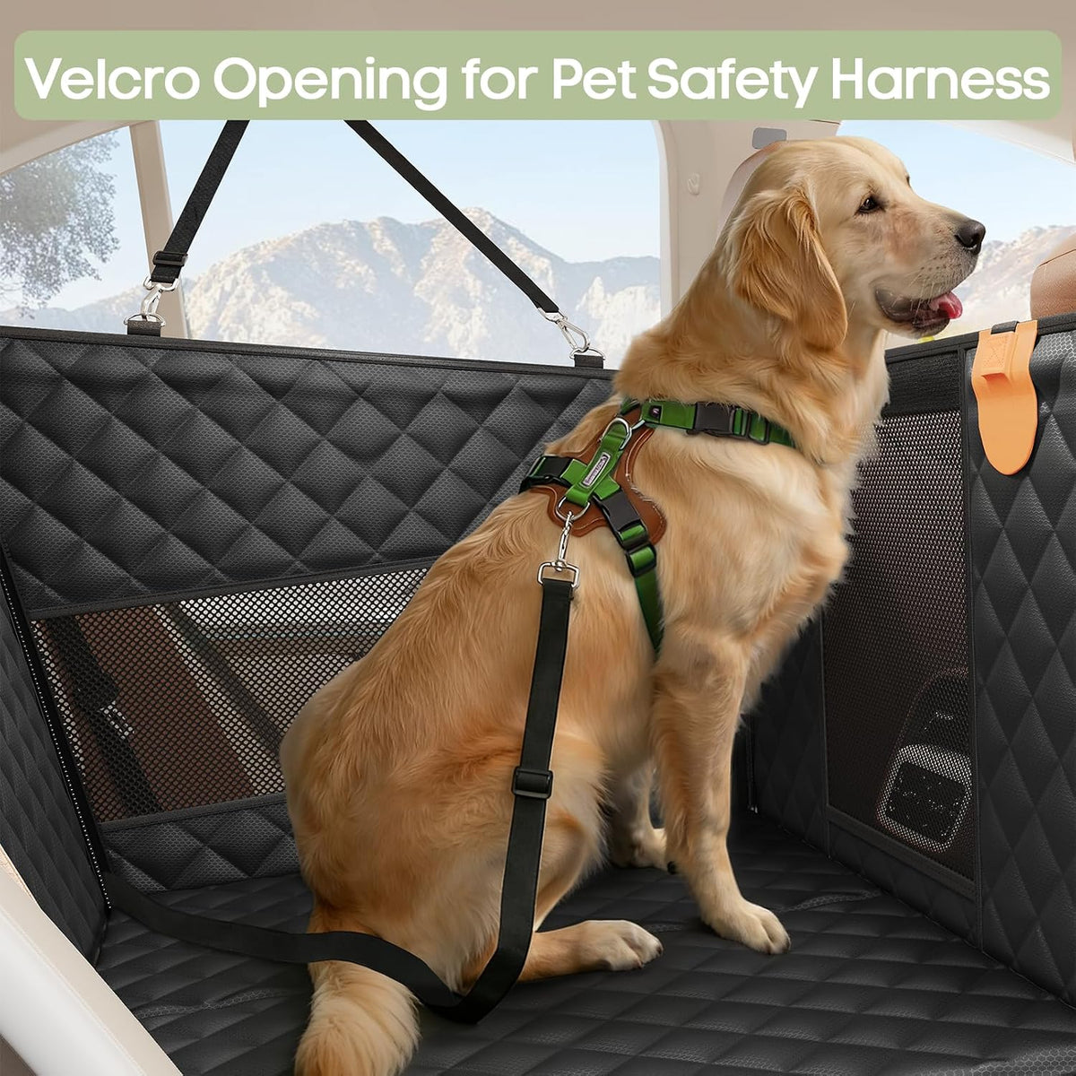 dog car seat for large medium dogs, hard, front angle view