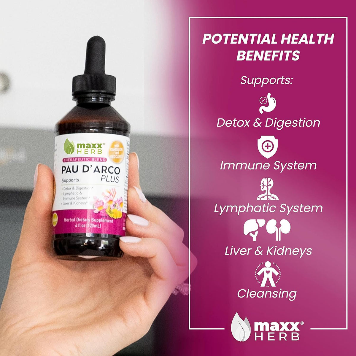 maxx herb pau d’arco extract with dandelion root, close-up detail