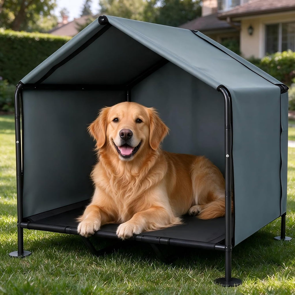 large dog canopy with elevated bed, outdoor dog, front angle view
