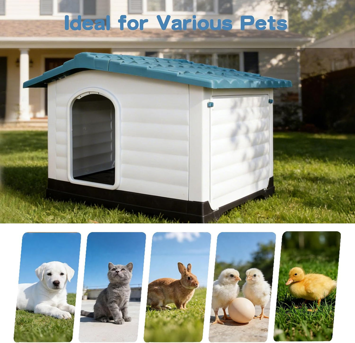 2-door large dog house for indoor and outdoor on a desk or shelf