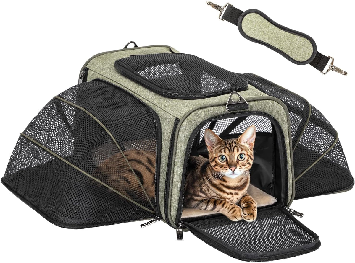 petsfit small double expandable cat carrier for kittens, main product view