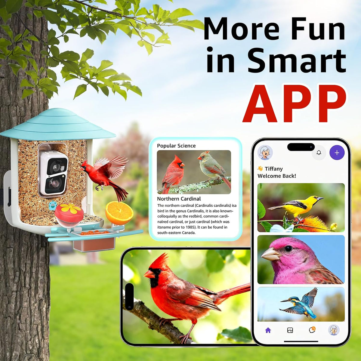 birdsnap® tuc bird feeder with camera solar powered, side view