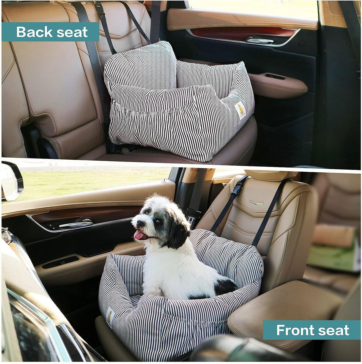 dog car seat for small dogs, puppy booster shown in use