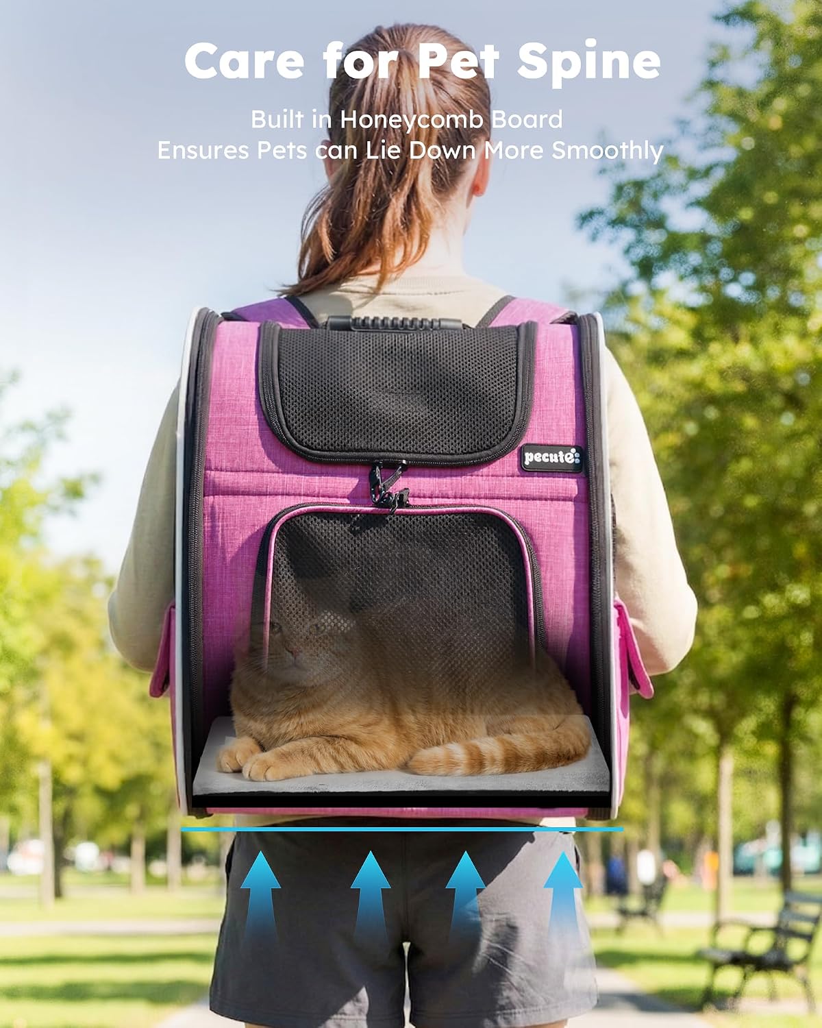 pecute cat backpack extendable, cat carrier backpack with, front angle view