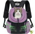 petami dog carrier backpack, hands free front pet, main product view