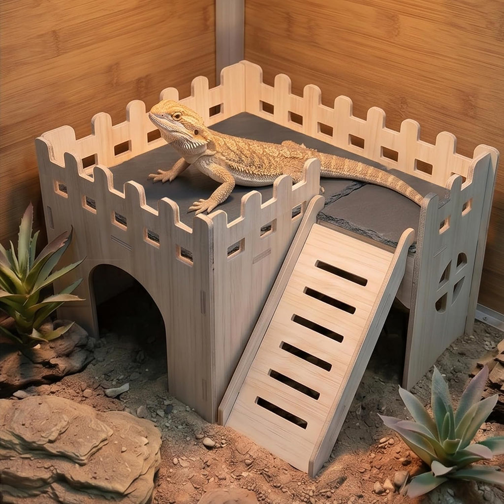 bearded dragon hide cave basking platform - with, side view