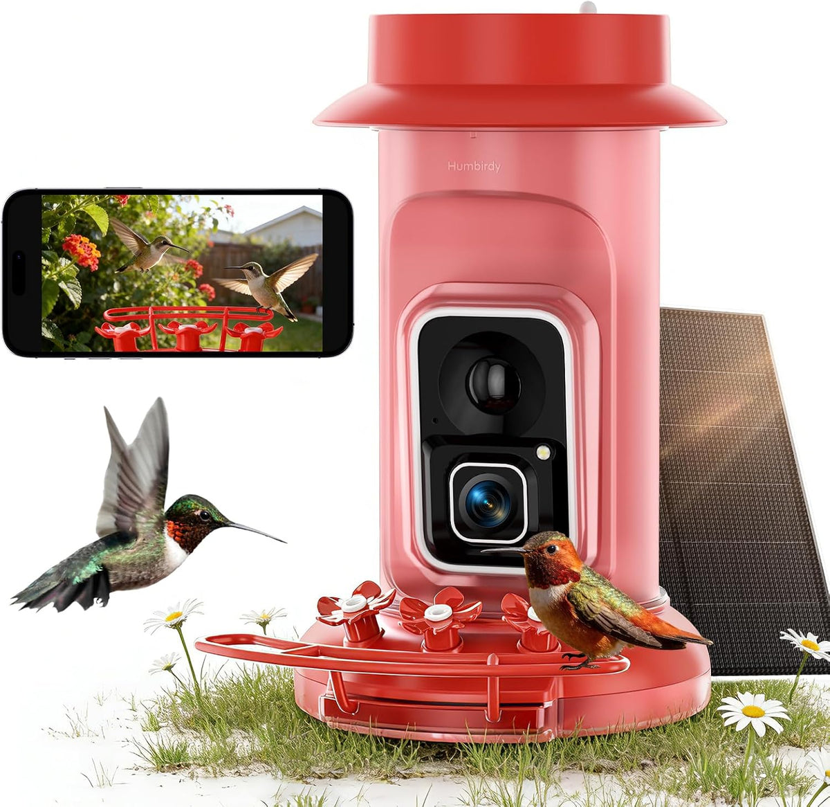 4k hummingbird feeder with camera,no subscription,solar powered, main product view