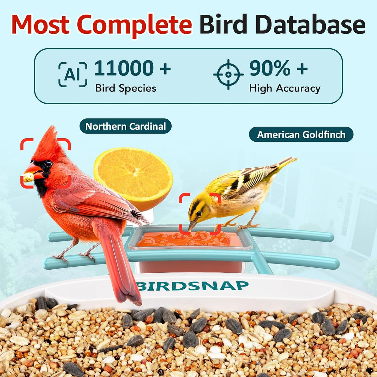 birdsnap® tuc bird feeder with camera solar powered shown in use