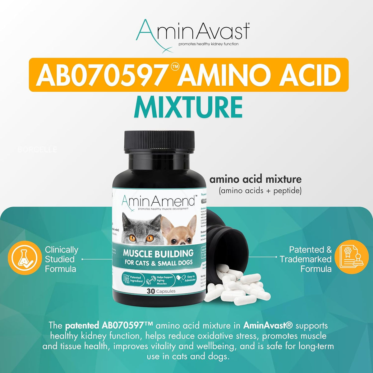 aminavast kidney support for cats & small dogs, close-up detail